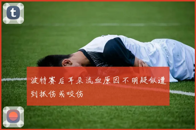 波特赛后耳朵流血原因不明疑似遭到抓伤或咬伤