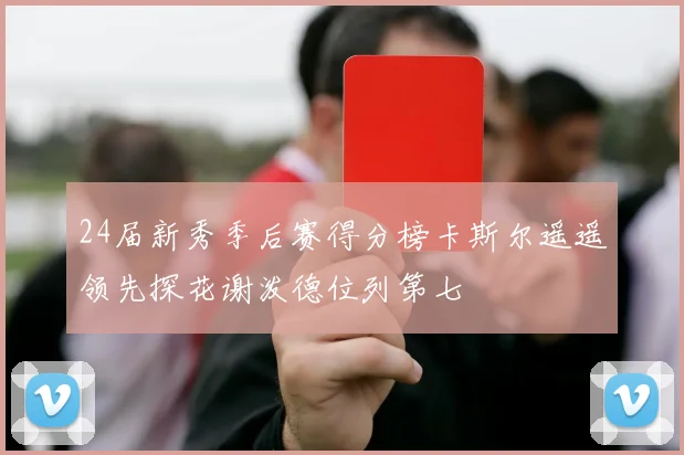 24届新秀季后赛得分榜卡斯尔遥遥领先探花谢泼德位列第七